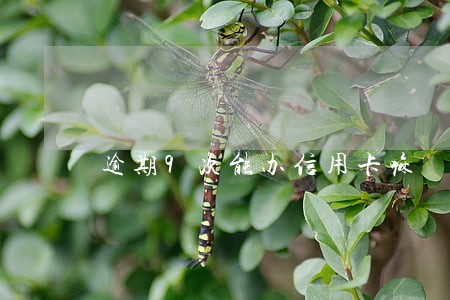逾期9次能办信用卡嘛 逾期9次能办信用卡嘛