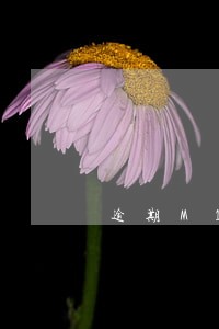 逾期M1到M4的催收怎么做 逾期M1到M4的催收怎么做