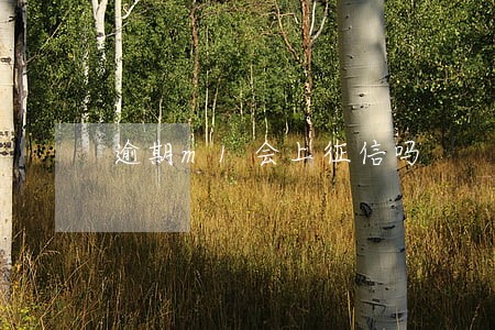 逾期m1会上征信吗 逾期m1会上征信吗