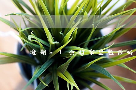 逾期m1会打家里电话吗 逾期m1会打家里电话吗