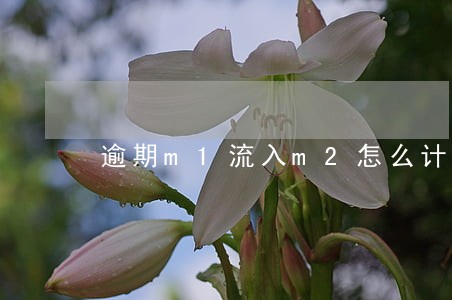逾期m1流入m2怎么计算 逾期m1流入m2怎么计算