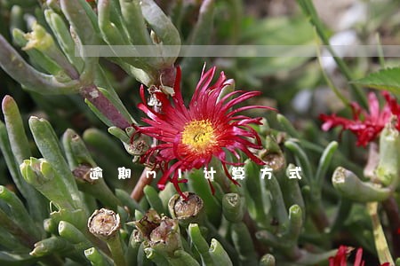 逾期m1计算方式