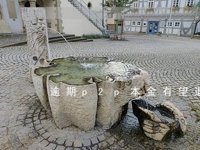 逾期p2p本金有望退还吗 逾期p2p本金有望退还吗