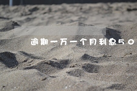 逾期一万一个月利息500多 逾期一万一个月利息500多