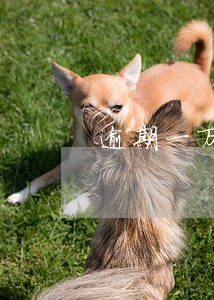 逾期一万元8天要多少滞纳金 逾期一万元8天要多少滞纳金