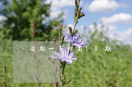 逾期一万协商10期 逾期一万协商10期