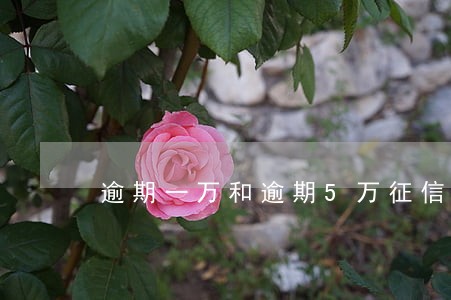 逾期一万和逾期5万征信有区别吗 逾期一万和逾期5万征信有区别吗