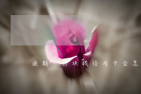 逾期一万块钱信用卡会怎么样 逾期一万块钱信用卡会怎么样