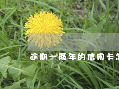 逾期一两年的信用卡怎么还款 逾期一两年的信用卡怎么还款