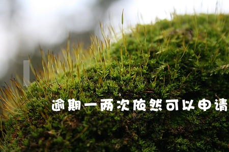 逾期一两次依然可以申请的网贷 逾期一两次依然可以申请的网贷
