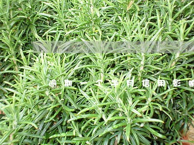 逾期一个半月信用影响大吗 逾期一个半月信用影响大吗