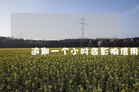 逾期一个小时会影响信用额度 逾期一个小时会影响信用额度