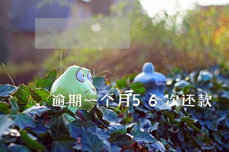 逾期一个月56次还款 逾期一个月56次还款