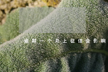 逾期一个月上征信会影响贷款 逾期一个月上征信会影响贷款