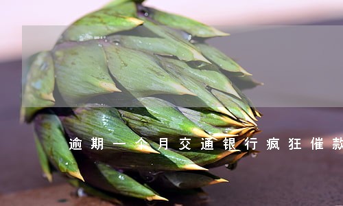 逾期一个月交通银行疯狂催款 逾期一个月交通银行疯狂催款