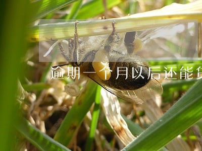 逾期一个月以后还能贷款吗 逾期一个月以后还能贷款吗
