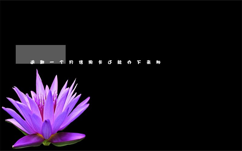 逾期一个月信用卡还能办下来那 逾期一个月信用卡还能办下来那