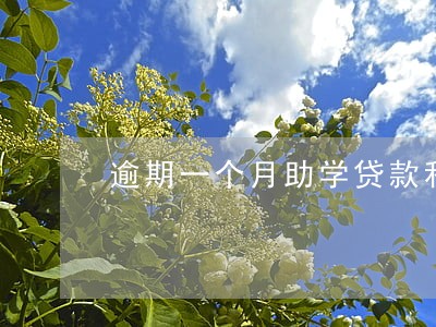 逾期一个月助学贷款利息 逾期一个月助学贷款利息
