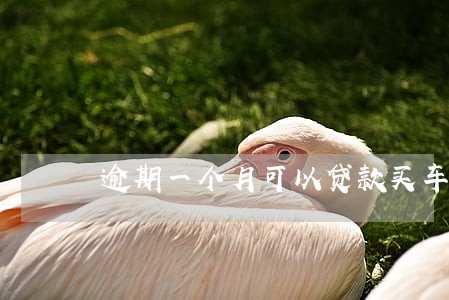 逾期一个月可以贷款买车吗 逾期一个月可以贷款买车吗