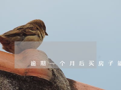 逾期一个月后买房子能贷款吗