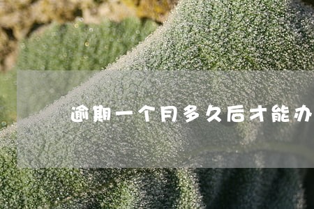逾期一个月多久后才能办信用卡 逾期一个月多久后才能办信用卡