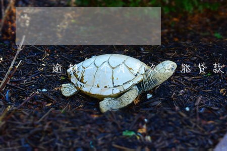 逾期一个月多久还能贷款 逾期一个月多久还能贷款