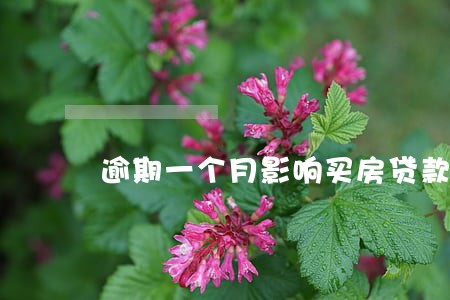 逾期一个月影响买房贷款吗 逾期一个月影响买房贷款吗