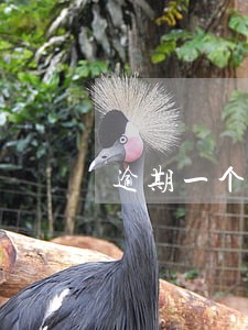 逾期一个月是指逾期30天吗 逾期一个月是指逾期30天吗