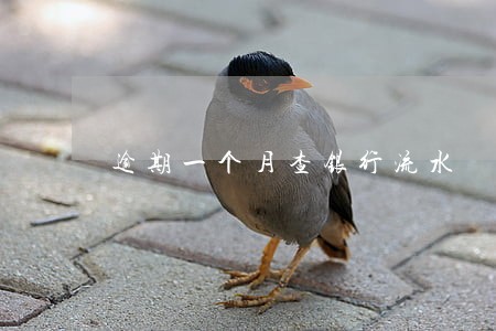 逾期一个月查银行流水 逾期一个月查银行流水