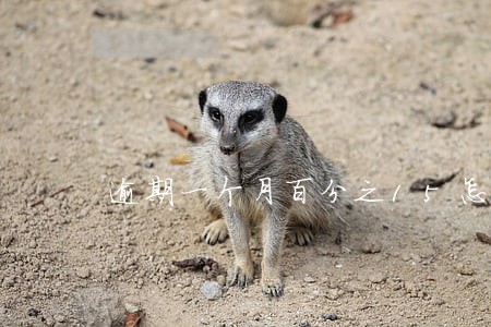 逾期一个月百分之15怎么算