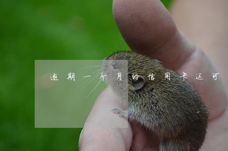 逾期一个月的信用卡还可以解冻
