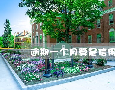 逾期一个月算是信用良好 逾期一个月算是信用良好