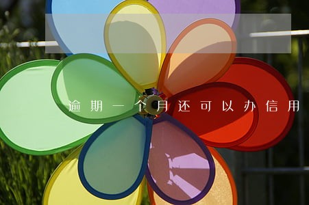 逾期一个月还可以办信用卡吗 逾期一个月还可以办信用卡吗
