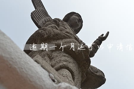 逾期一个月还可以申请信用卡吗