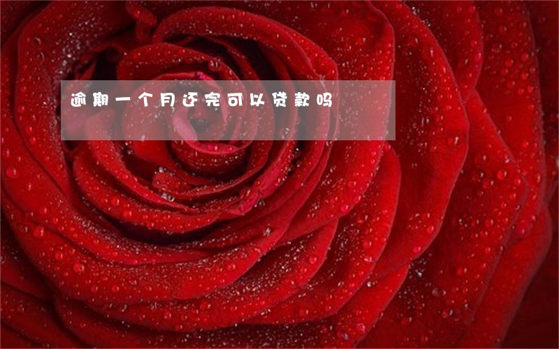 逾期一个月还完可以贷款吗 逾期一个月还完可以贷款吗