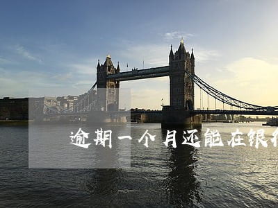 逾期一个月还能在银行贷款吗 逾期一个月还能在银行贷款吗