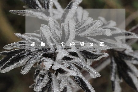 逾期一个网贷2天 逾期一个网贷2天
