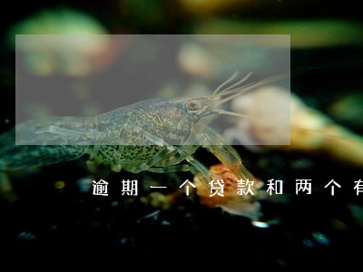 逾期一个贷款和两个有什么区别 逾期一个贷款和两个有什么区别