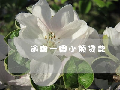 逾期一周小额贷款 逾期一周小额贷款