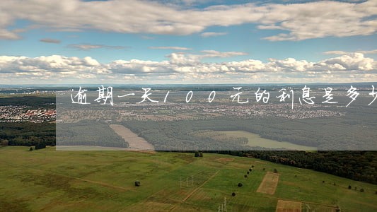 逾期一天100元的利息是多少 逾期一天100元的利息是多少