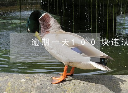 逾期一天100块违法吗