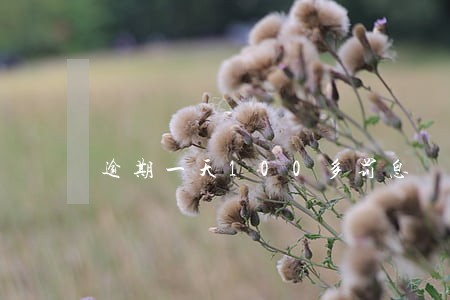 逾期一天100多罚息 逾期一天100多罚息