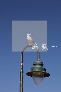 逾期一天30利息该不该还