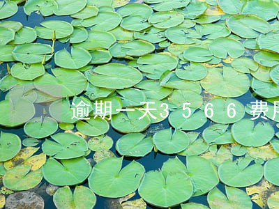 逾期一天3566费用