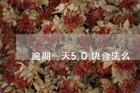逾期一天50块合法么