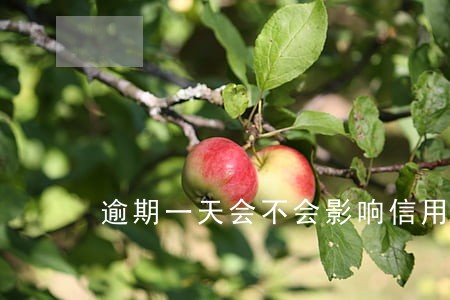 逾期一天会不会影响信用记录