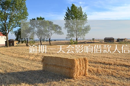 逾期一天会影响借款人信用吗 逾期一天会影响借款人信用吗