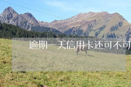 逾期一天信用卡还可不可以用 逾期一天信用卡还可不可以用
