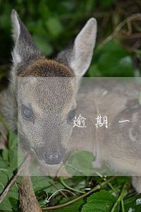 逾期一天利息100多合理吗 逾期一天利息100多合理吗