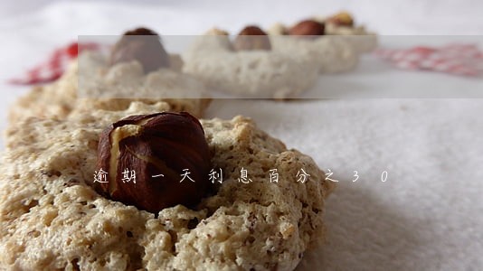 逾期一天利息百分之30 逾期一天利息百分之30